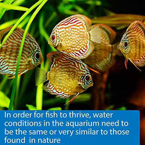 API 5-IN-1 TEST STRIPS Freshwater and Saltwater Aquarium Test Strips 100-Count Box - Image 7