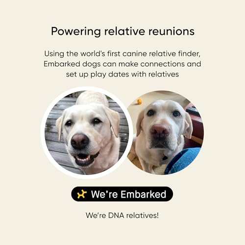 Embark Breed & Health Kit - Dog DNA Testing Kit - Discover Breed, Ancestry, Relative Finder, Genetic Health, Traits, Allergy Risk Scores - Image 6