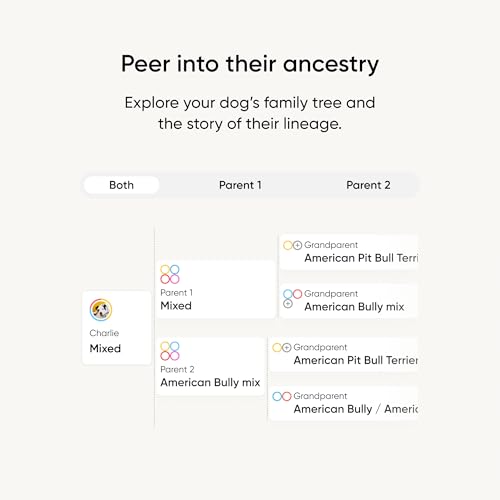 Embark Breed Identification Kit - Most Accurate Dog DNA Testing Kit - 99% Breed Ancestry Accuracy for Mixed Breed Dogs - Plus Relative Finder & Family Tree - Image 5