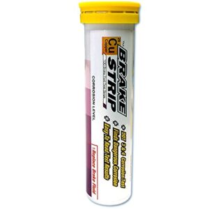Phoenix Systems (3001-B) Brake Fluid Test Strips, 100 Test Strips Per Tube, BrakeStrip, FASCAR, Copper,White