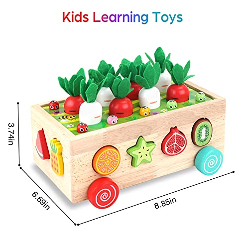 Toddlers Montessori Wooden Educational Toys for Baby Boys Girls Age 1 2 3 Year Old, Shape Sorting Toys 1st One First Birthday Girl Gifts for Kids 1-3, Wood Preschool Learning Fine Motor Skills Game - Image 4