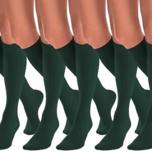 Ex M & S Ladies 5 Pack Cotton Lycra High Legs Briefs Knickers Underwear 8 to 18