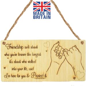 Friendship Plaques Gifts For Women Best Friend Christmas Thank You Birthday Sign