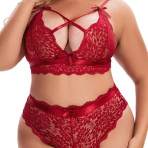 Aranmei Plus Size Lingerie for Women Lace Bra and Panties Set Sexy Bralette Set