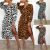 Leopard Print Ladies Dress Long Sleeve fashion Womens UK