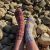 Soft Striped Wool Socks
